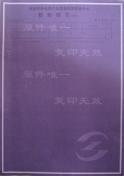 检验报告