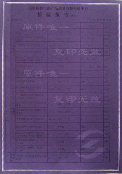 检验报告