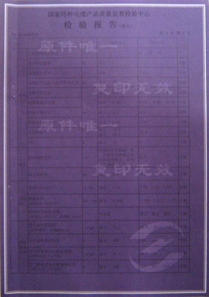 检验报告